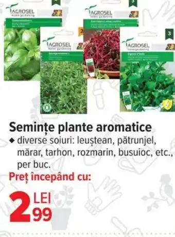 Carrefour Seminţe plante aromatice Ofertă