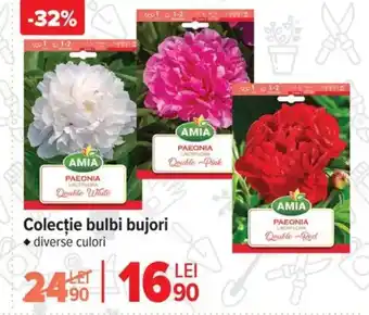 Carrefour Colecție bulbi bujori Ofertă