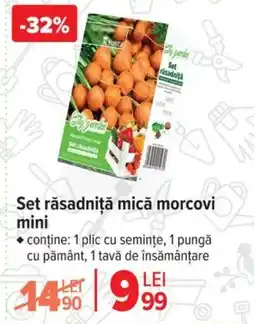 Carrefour Set răsadniţă mică morcovi mini Ofertă