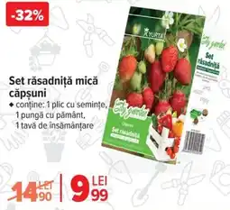 Carrefour Set răsadniţă mică căpşuni Ofertă