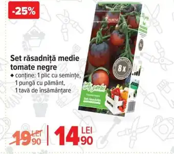 Carrefour Set răsadniţă medie tomate negre Ofertă