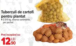 Carrefour Tuberculi de cartofi pentru plantat Ofertă