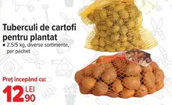 Carrefour Tuberculi de cartofi pentru plantat Ofertă