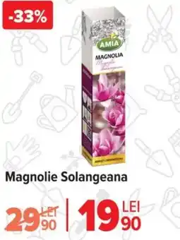 Carrefour Magnolie Solangeana Ofertă