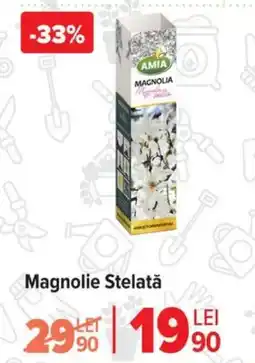 Carrefour Magnolie Stelată Ofertă