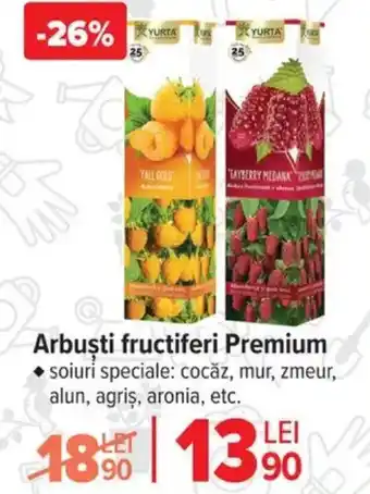 Carrefour Arbuşti fructiferi Premium Ofertă