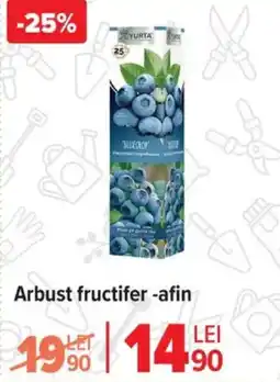 Carrefour Arbust fructifer -afin Ofertă