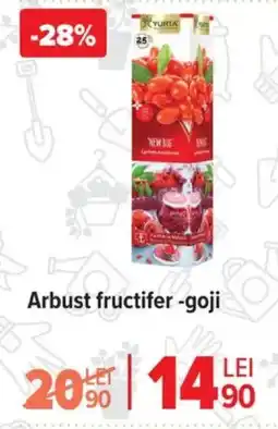 Carrefour Arbust fructifer -goji Ofertă