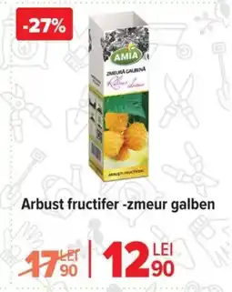 Carrefour Arbust fructifer -zmeur galben Ofertă