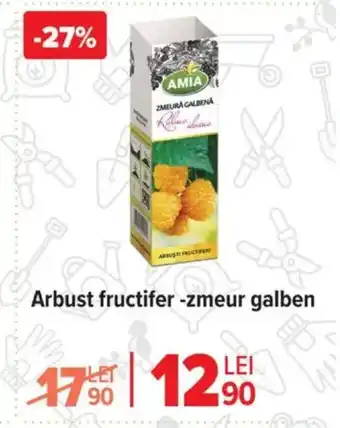 Carrefour Arbust fructifer -zmeur galben Ofertă