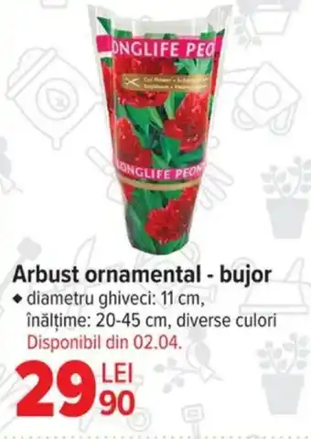 Carrefour Arbust ornamental - bujor Ofertă