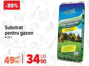 Carrefour Substrat pentru gazon Ofertă