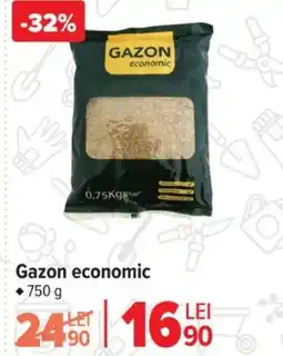 Carrefour Gazon economic Ofertă