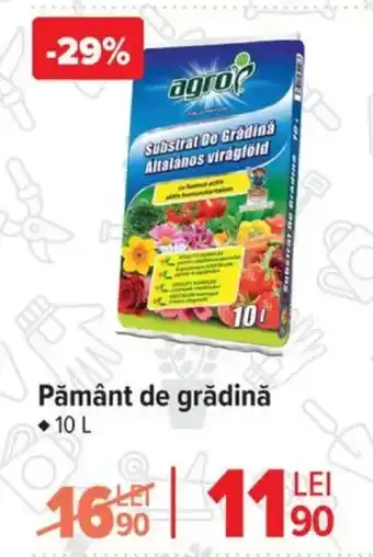 Carrefour Pământ de grădină Ofertă