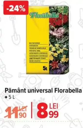 Carrefour Pământ universal Florabella Ofertă