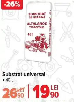 Carrefour Substrat universal Ofertă