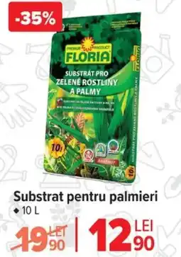 Carrefour Substrat pentru palmieri Ofertă