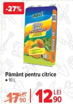 Carrefour Pământ pentru citrice Ofertă