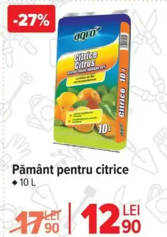 Carrefour Pământ pentru citrice Ofertă