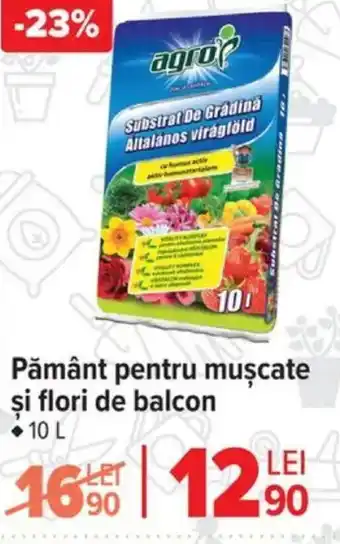 Carrefour Pământ pentru muşcate şi flori de balcon Ofertă