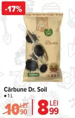 Carrefour Cărbune Dr. Soil Ofertă