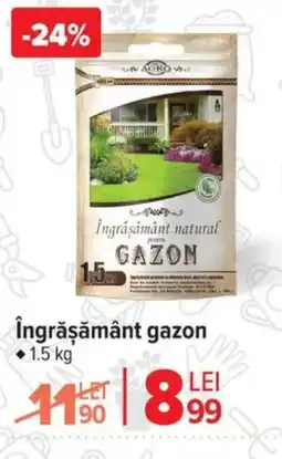 Carrefour Îngrăşământ gazon Ofertă