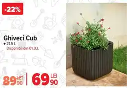 Carrefour Ghiveci Cub Ofertă