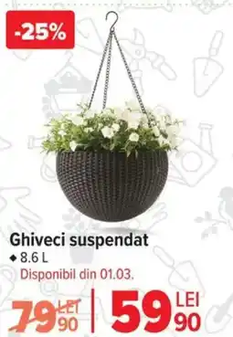 Carrefour Ghiveci suspendat Ofertă