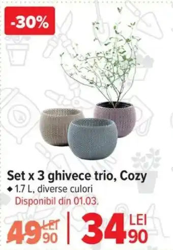 Carrefour Set x 3 ghivece trio, Cozy Ofertă