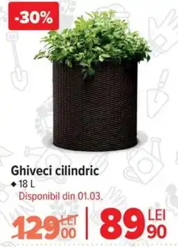 Carrefour Ghiveci cilindric Ofertă