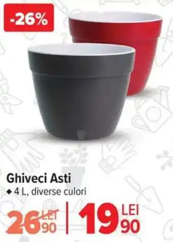 Carrefour Ghiveci Asti Ofertă