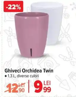 Carrefour Ghiveci Orchidea Twin Ofertă