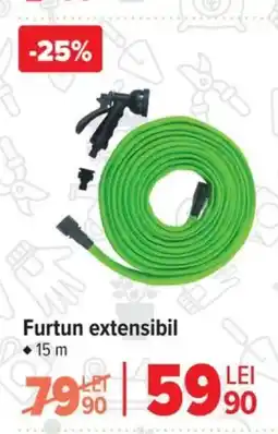 Carrefour Furtun extensibil Ofertă