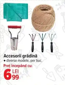 Carrefour Accesorii grădină Ofertă