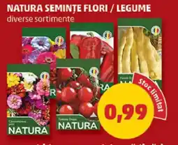 Penny NATURA seminţe flori / legume Ofertă