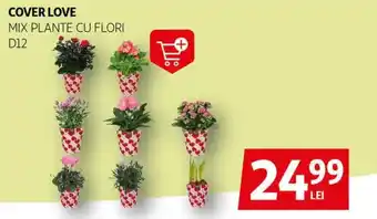 Auchan Cover love Ofertă