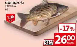 Auchan Crap proaspăt captură Ofertă