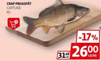 Auchan Crap proaspăt captură Ofertă