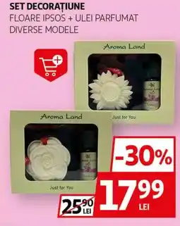 Auchan Set decorațiune floare ipsos + ulei parfumat Ofertă