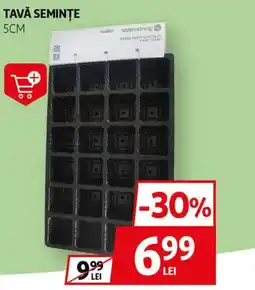 Auchan Tava seminţe Ofertă