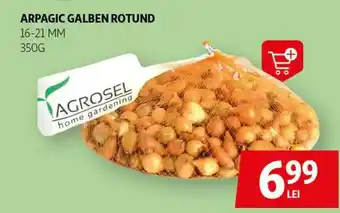 Auchan Arpagic galben rotund Ofertă