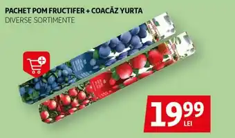 Auchan Pachet pom fructifer + coacăz yurta Ofertă