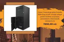 Hornbach Cazan / Centrală pe peleți Fornello Pellet King 25 kW Ofertă