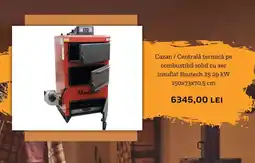 Hornbach Cazan Centrală termică pe combustibil solid cu aer insuflat Bautech 25 29 kW Ofertă