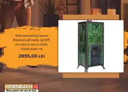 Hornbach Sobǎ teracotă pe lemne Premium 4R verde, 9,8 kW Ofertă