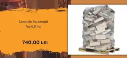 Hornbach Lemn de foc esenţă fag 0,8 mc Ofertă