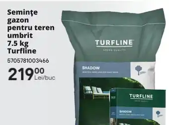 Brico Depôt TURFLINE Seminţe gazon pentru teren umbrit Ofertă