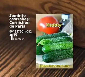 Brico Depôt Seminţe castraveţi Cornichon de Paris Ofertă