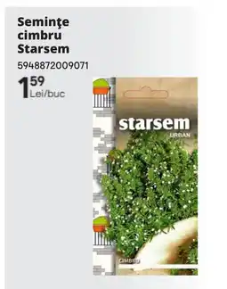 Brico Depôt Seminţe cimbru Starsem Ofertă