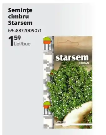 Brico Depôt Seminţe cimbru Starsem Ofertă